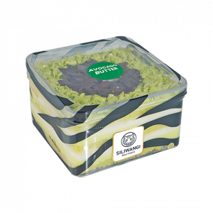 dessert cake siliwangi